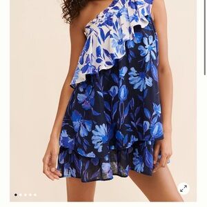 Anthropologie Blue and White Floral Dress